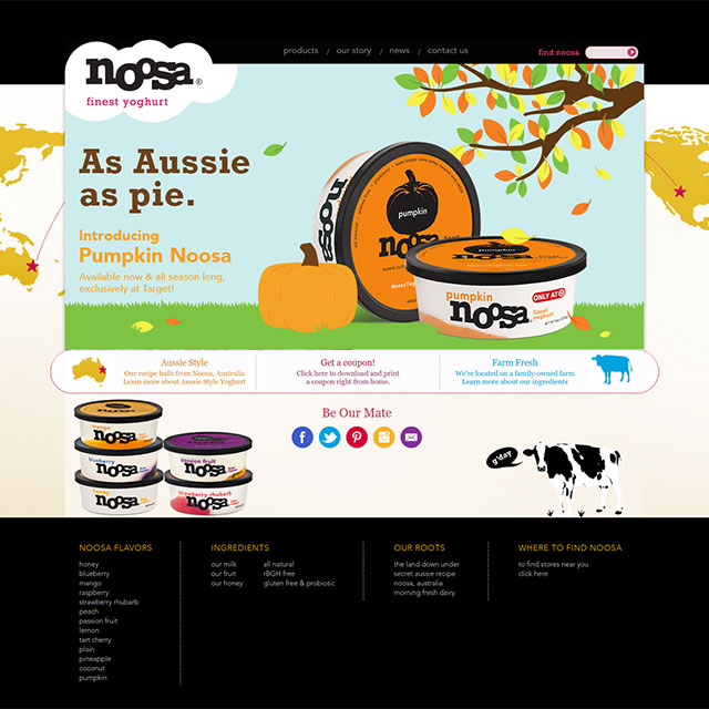 Noosa Yoghurt